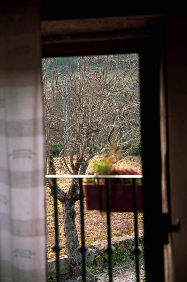 モンジン・デ・バスト Casa Senhor Da Ponteヴィラ エクステリア 写真
